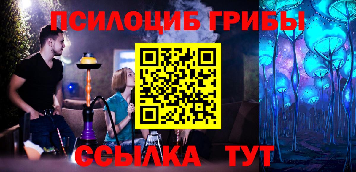 Холмск  Псилоцибиновые грибы мицелий  Вход с VPN 